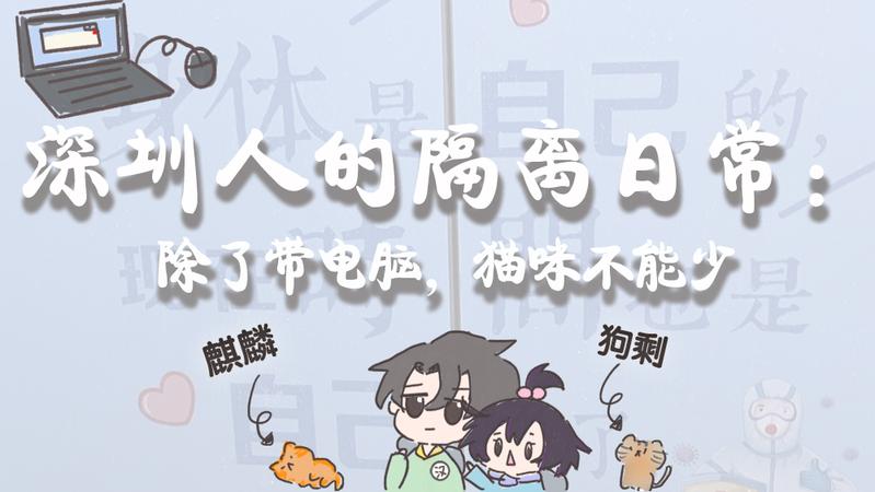 寵TA丨深圳人的隔離日常：除了帶電腦，貓咪不能少